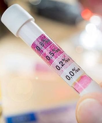 Electronic Breathalyzer